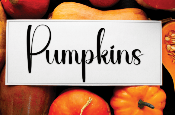 Exclusive Font - Preview 2