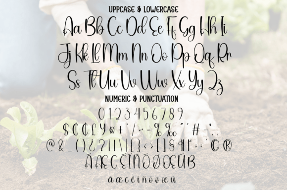 Farmwork Font - Preview 6