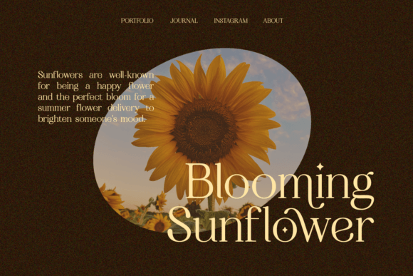 Geraldine Font - Preview 4