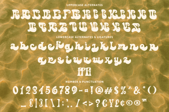 Nawacitha Font PNG with transparent background - Preview 6