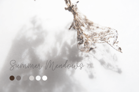 Quietly Rose Font PNG with transparent background - Preview 1