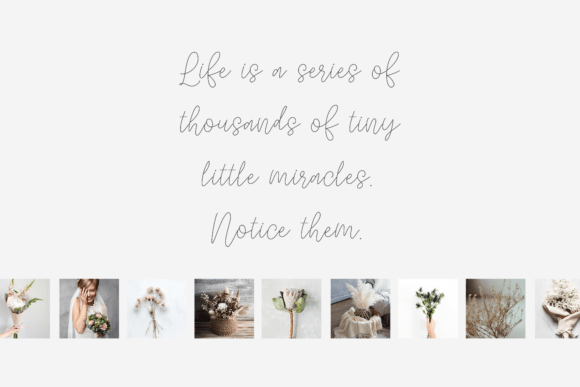 Quietly Rose Font PNG with transparent background - Preview 2