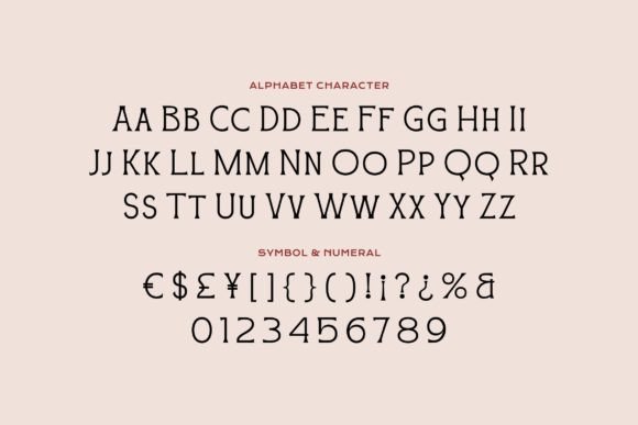 Blossom Noir Font - Preview 4