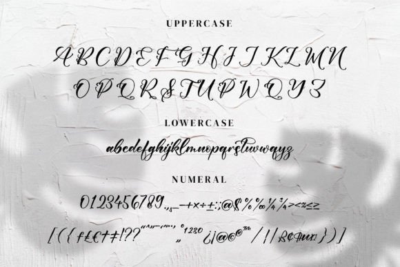 Gladiesk Poetriea Font - Preview 4