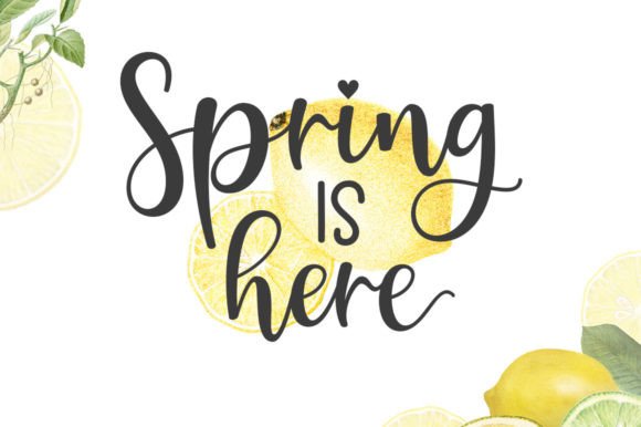Hailey Trio Font - Preview 6