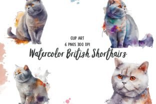 British Shorthair Cat Watercolor Clipart Graphic by Patternexus ...