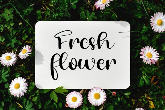 Daisy Font - Preview 2
