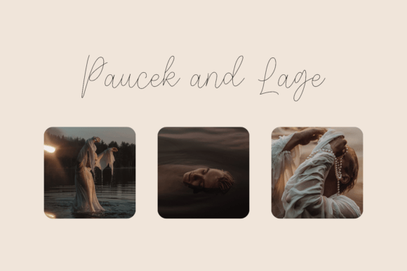 Fidelity Contrasts Font - Preview 3