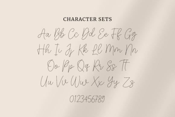 Fidelity Contrasts Font - Preview 4