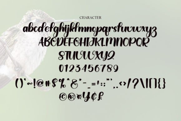 Gnome Font - Preview 3