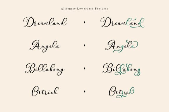 Ansley Font - Preview 3