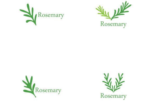 Rosemary Leaf Vector Logo Illustration