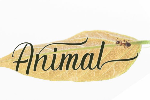 Bantiba Font - Preview 4