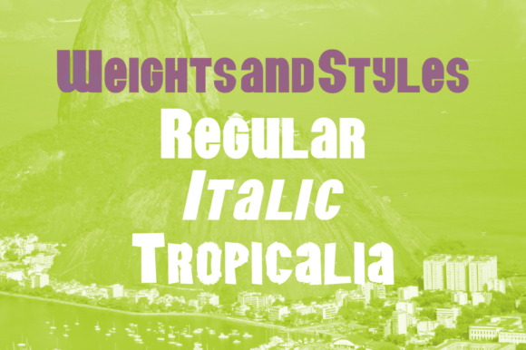 Benjor Family Font - Preview 2
