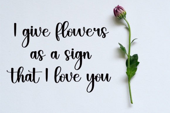 Absolute Font - Preview 4