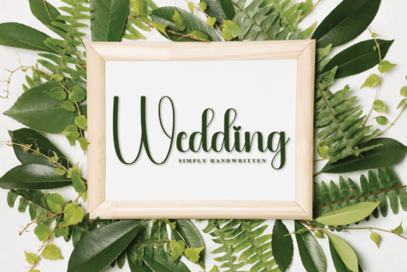 Shellina Font PNG with transparent background - Preview 3