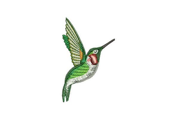 Hummingbird