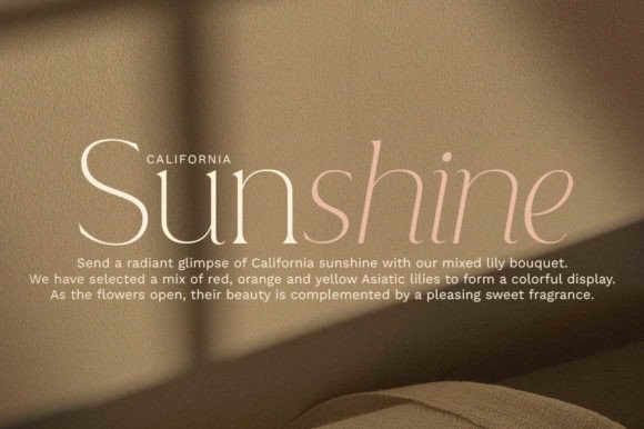 Lovely Branding Font PNG with transparent background - Preview 2