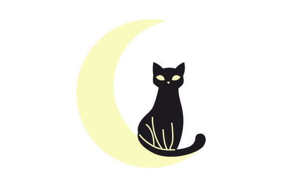 Black Cat on Moon