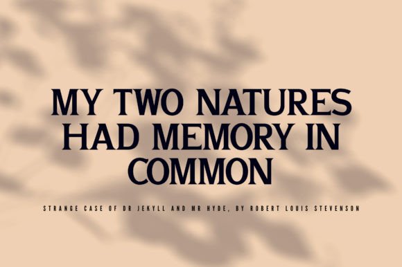 Ferium Font - Preview 4