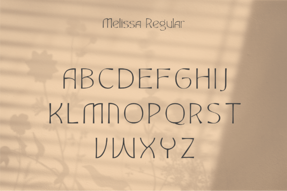 Fashion Elegant Beautiful Timeless Moder Font - Preview 1