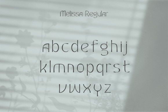 Fashion Elegant Beautiful Timeless Moder Font - Preview 3