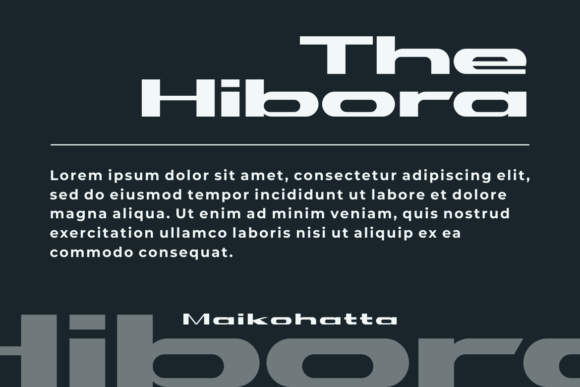 Hibora Font PNG with transparent background - Preview 2