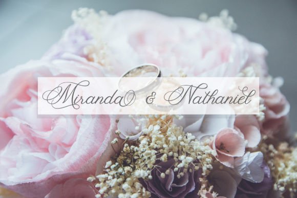 Fancy Script Font - Preview 1