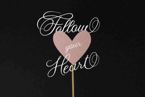 Fancy Script Font - Preview 2