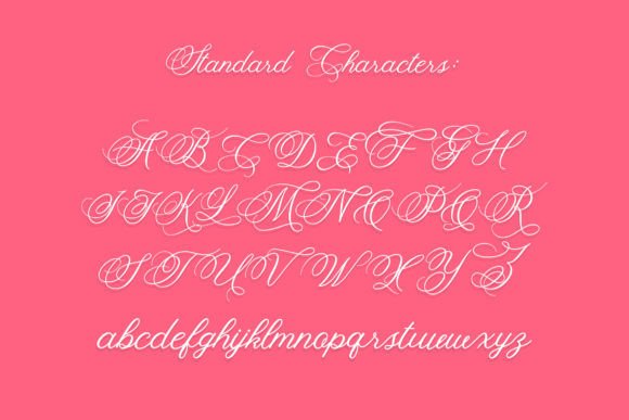 Fancy Script Font - Preview 3