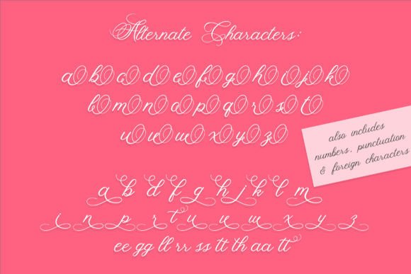 Fancy Script Font - Preview 4