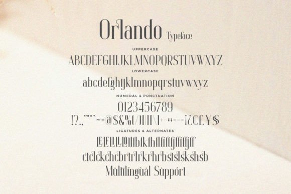 Orlando History Font PNG with transparent background - Preview 5