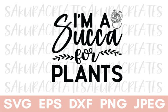 entretien caoutchouc plante Ficus Elastica 'Robusta': Plante Facile d´Entretien pour Débutants –  Bloombox Club FR