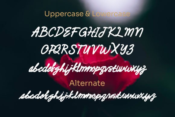 Bagitto Herros Font - Preview 2