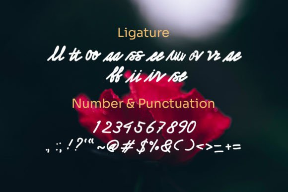 Bagitto Herros Font - Preview 4