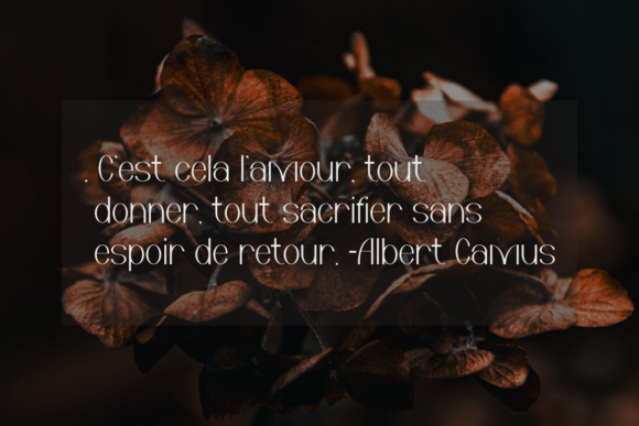 Estilias Font - Preview 2