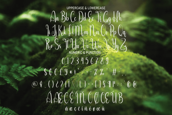 Amazing Font - Preview 6
