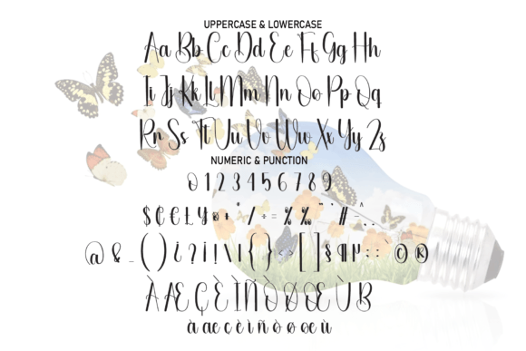 Butterfly Font - Preview 4