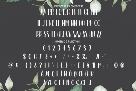 Clarisa Font - Preview 5