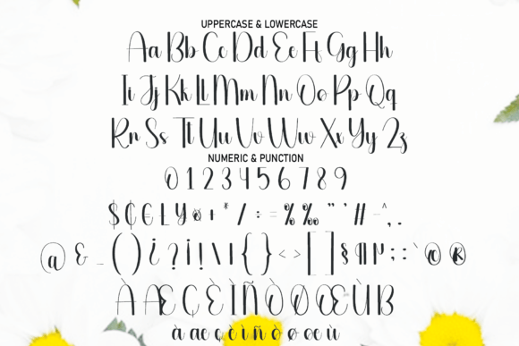 Directly Font - Preview 5