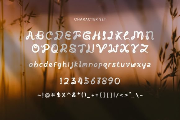 Silvia Bolivia Font PNG with transparent background - Preview 1