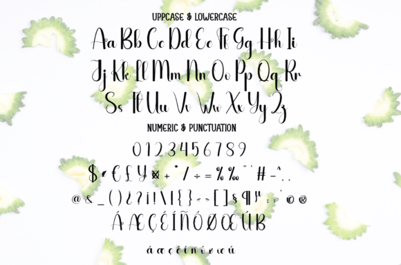 Bitter Font - Preview 4