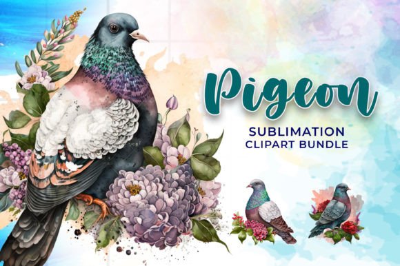 Pigeon Sublimation Clipart Bundle Graphic Illustrations By HappyColor Design