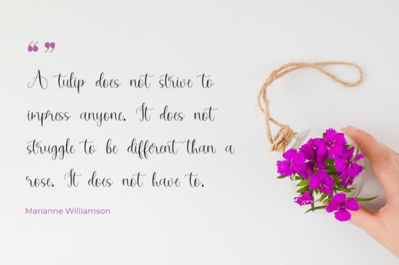 Samapolien Font PNG with transparent background - Preview 6
