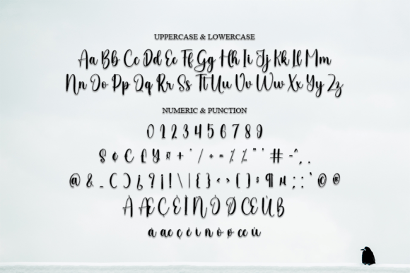 Amsterdam Font - Preview 4