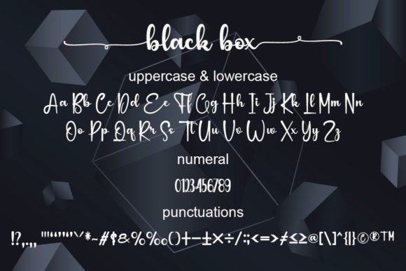 Black Box Font - Preview 3