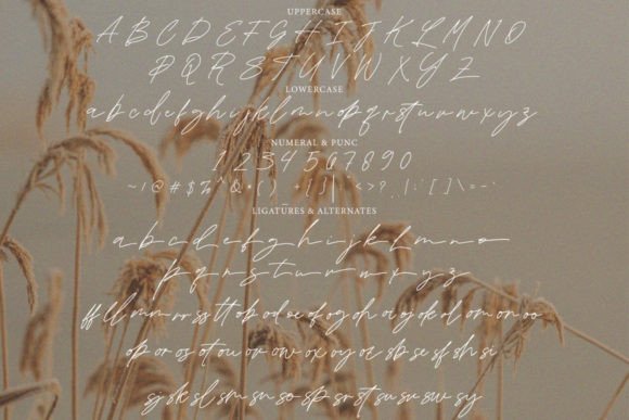 Blowing Signature Font - Preview 3