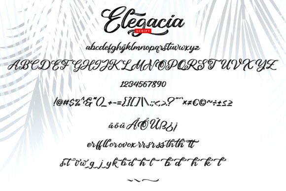 Elegacia Font - Preview 4