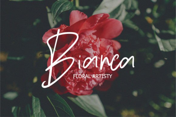 Emague Font PNG with transparent background - Preview 2