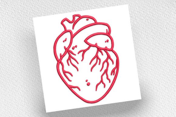 Human Heart